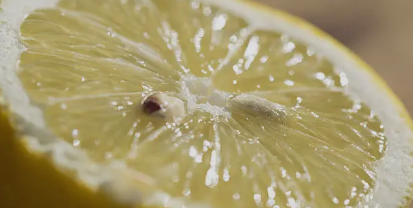 Flacon pulvérisateur de spray au citron pour éloigner les poux.